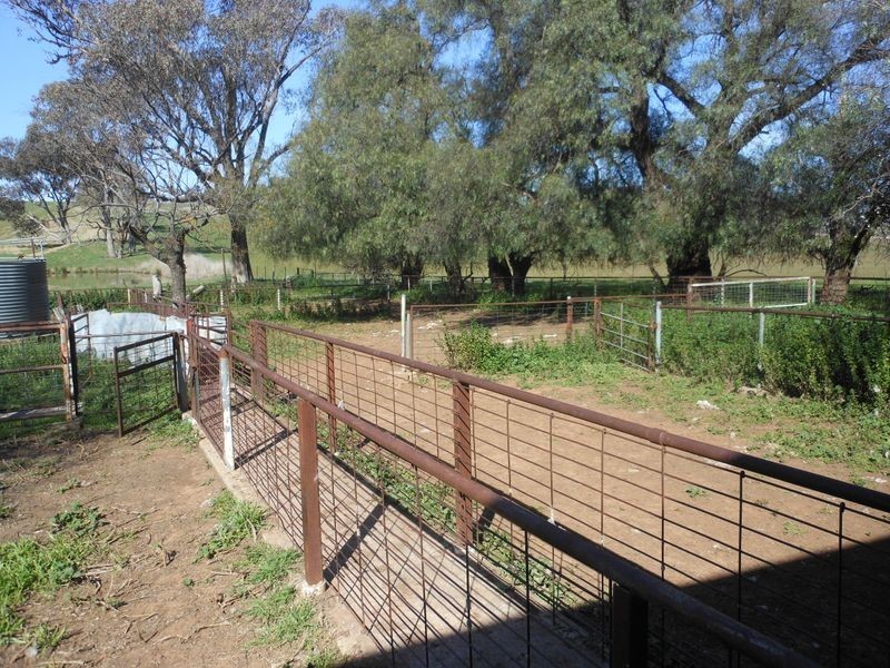 00 Wongalilli, Young NSW 2594