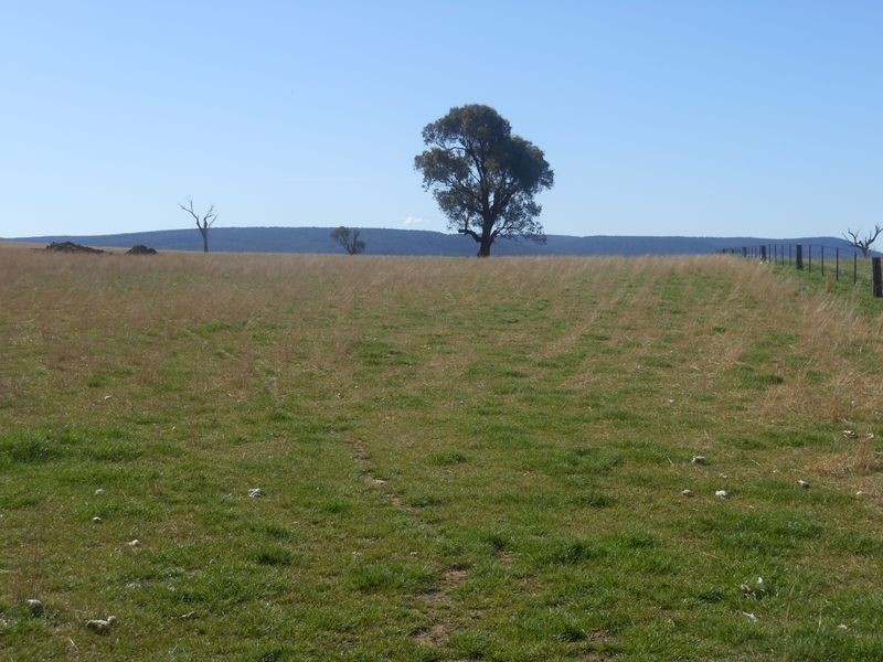 00 Wongalilli, Young NSW 2594