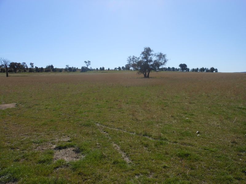 00 Wongalilli, Young NSW 2594