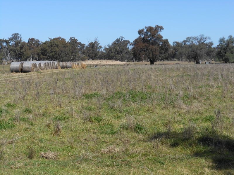 26 Longhurst Rd, Young NSW 2594