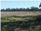 26 Longhurst Rd, Young NSW 2594