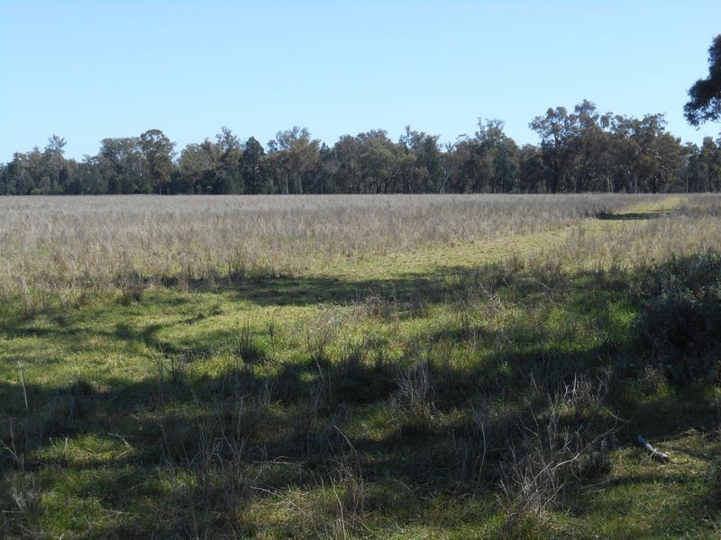 26 Longhurst Rd, Young NSW 2594
