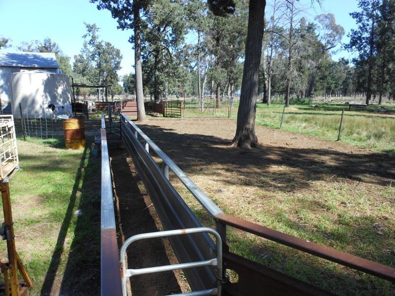 26 Longhurst Rd, Young NSW 2594
