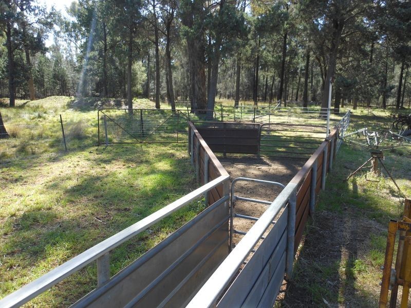 26 Longhurst Rd, Young NSW 2594