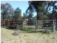 26 Longhurst Rd, Young NSW 2594