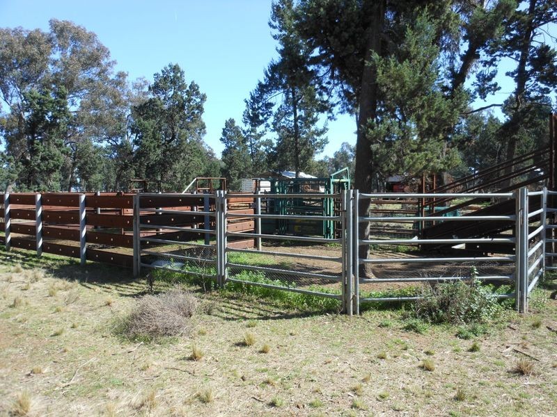 26 Longhurst Rd, Young NSW 2594