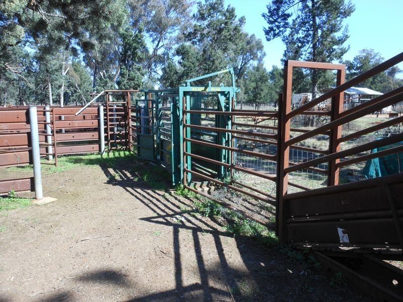 26 Longhurst Rd, Young NSW 2594