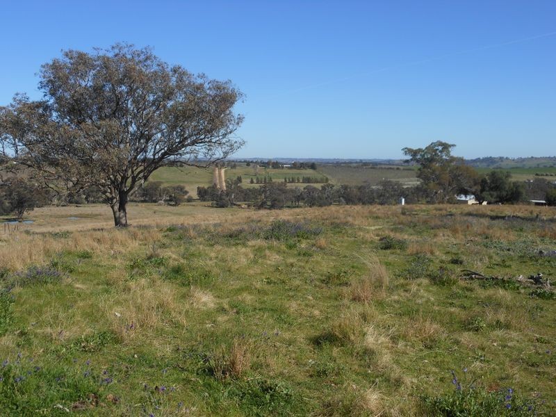Lot 8 Golden Grove Road, Young NSW 2594