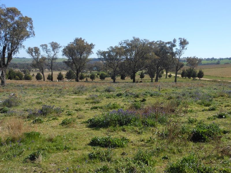 Lot 8 Golden Grove Road, Young NSW 2594