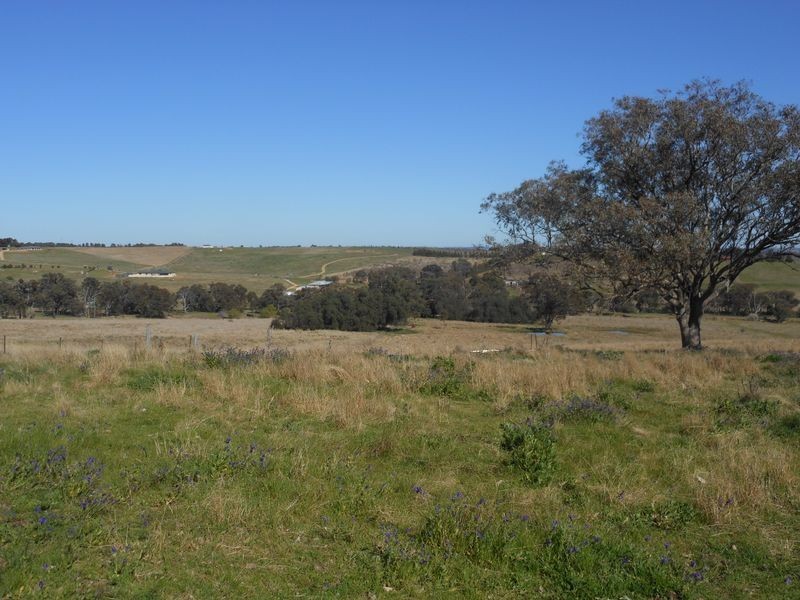 Lot 8 Golden Grove Road, Young NSW 2594