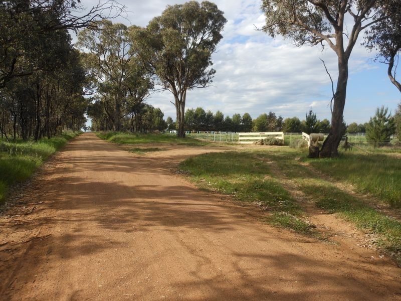 50 Watsons Rd, Young NSW 2594