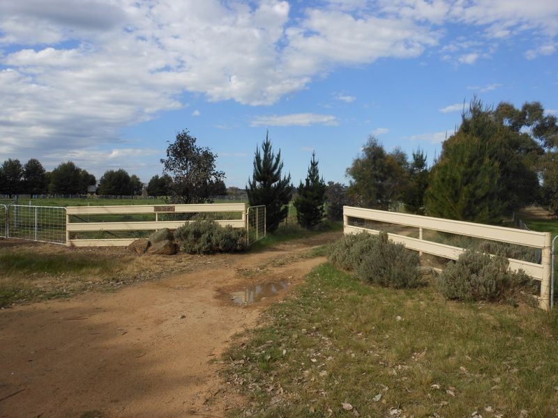 50 Watsons Rd, Young NSW 2594