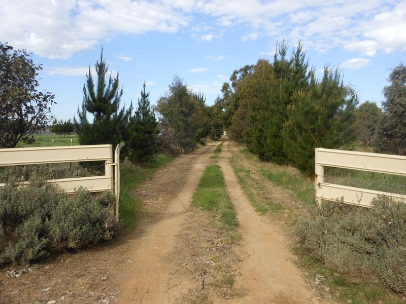 50 Watsons Rd, Young NSW 2594