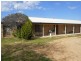 50 Watsons Rd, Young NSW 2594