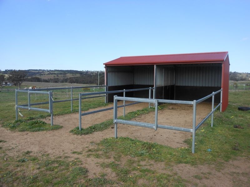 50 Watsons Rd, Young NSW 2594