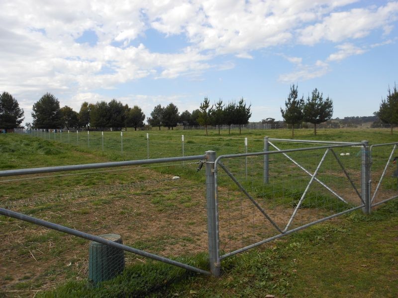 50 Watsons Rd, Young NSW 2594