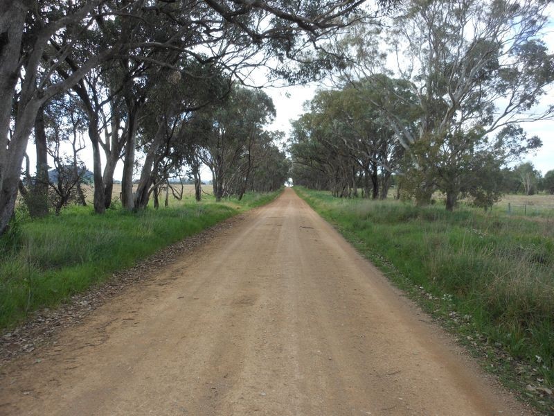 50 Watsons Rd, Young NSW 2594