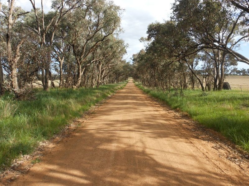 50 Watsons Rd, Young NSW 2594