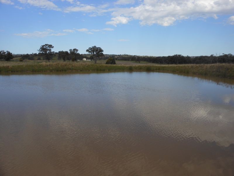 50 Watsons Rd, Young NSW 2594