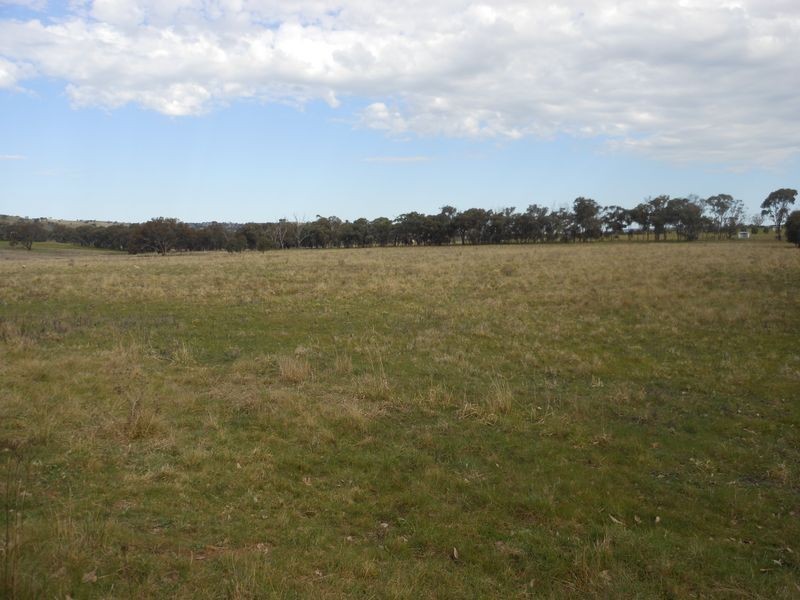 50 Watsons Rd, Young NSW 2594