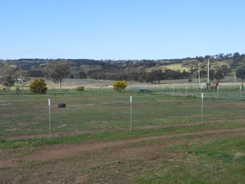 50 Watsons Rd, Young NSW 2594