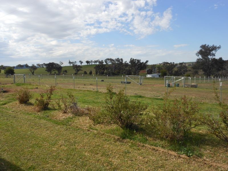 50 Watsons Rd, Young NSW 2594