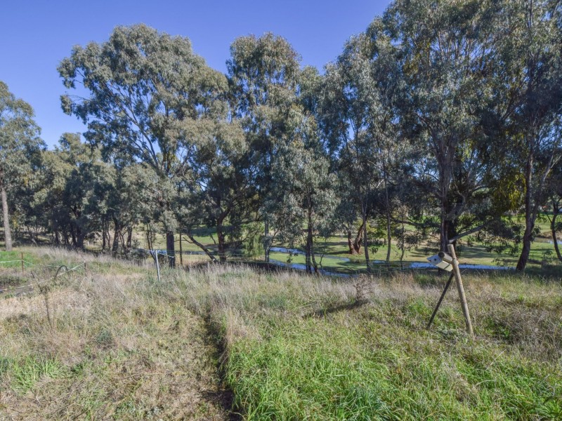 4501 Olympic Highway South, Young NSW 2594