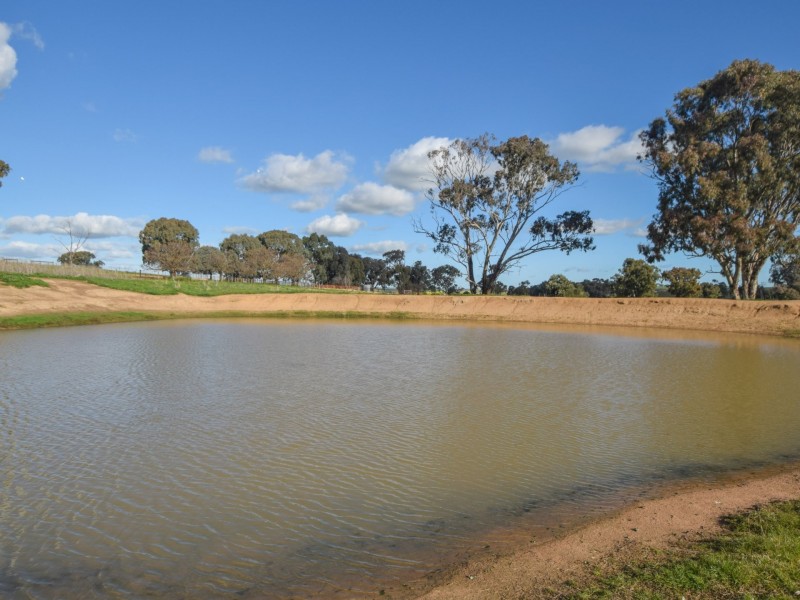 00 Currawong Rd, Young NSW 2594