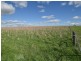 00 Currawong Rd, Young NSW 2594