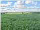 00 Currawong Rd, Young NSW 2594