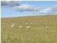 00 Currawong Rd, Young NSW 2594