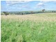 00 Currawong Rd, Young NSW 2594