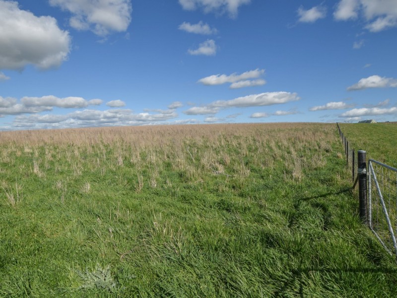 00 Currawong Rd, Young NSW 2594