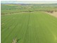 00 Currawong Rd, Young NSW 2594