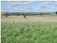 00 Currawong Rd, Young NSW 2594