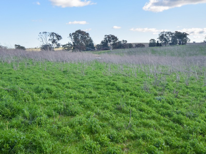 00 Currawong Rd, Young NSW 2594