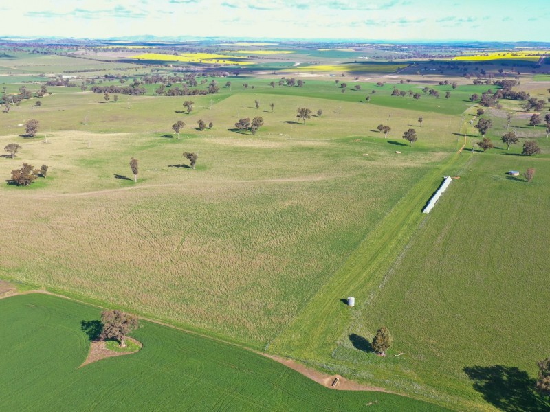 00 Currawong Rd, Young NSW 2594