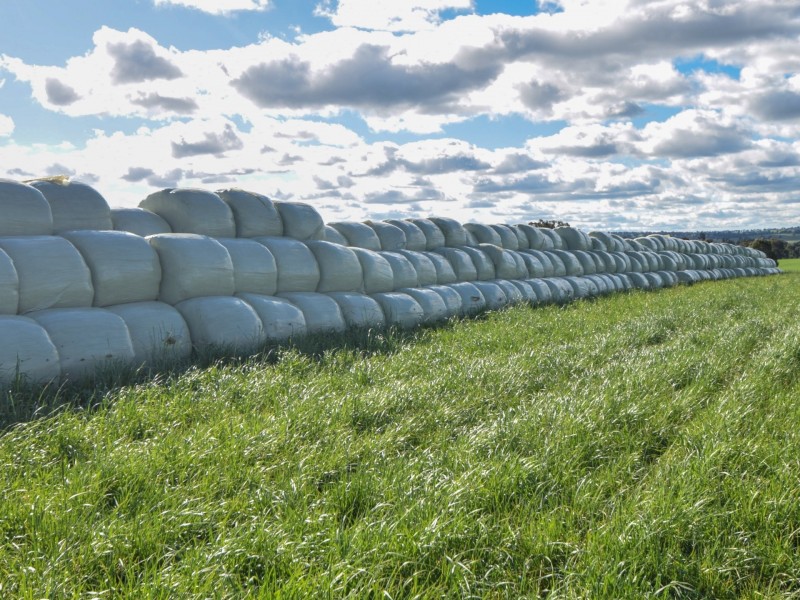 00 Currawong Rd, Young NSW 2594