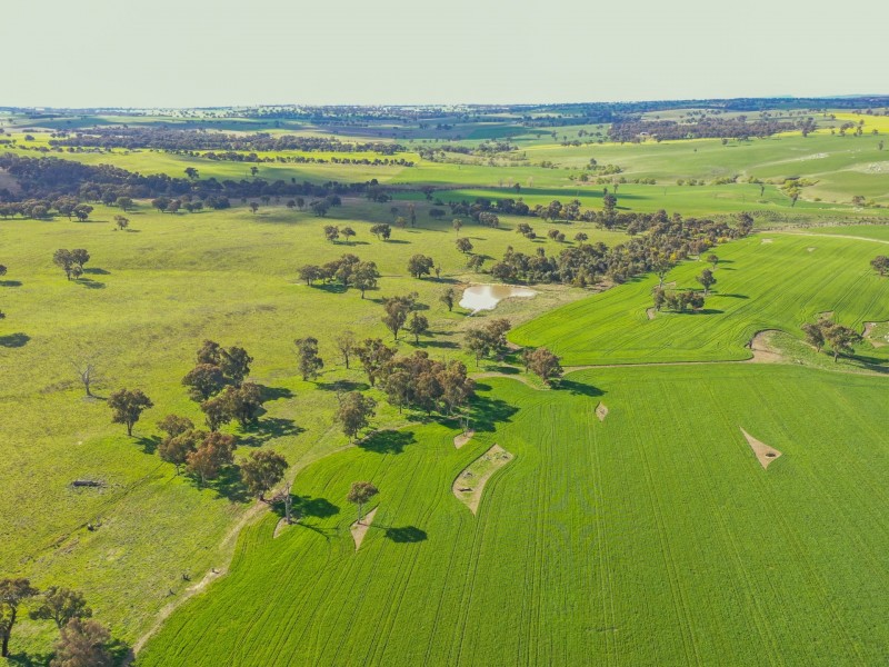 00 Currawong Rd, Young NSW 2594
