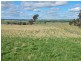 00 Currawong Rd, Young NSW 2594