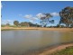 00 Currawong Rd, Young NSW 2594