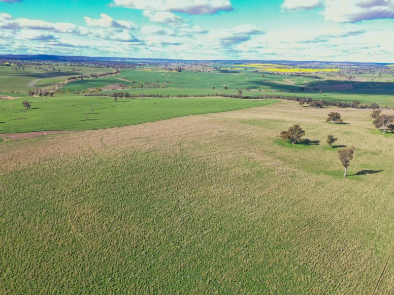 00 Currawong Rd, Young NSW 2594