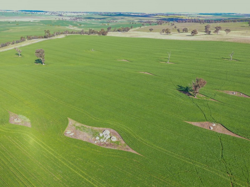 00 Currawong Rd, Young NSW 2594