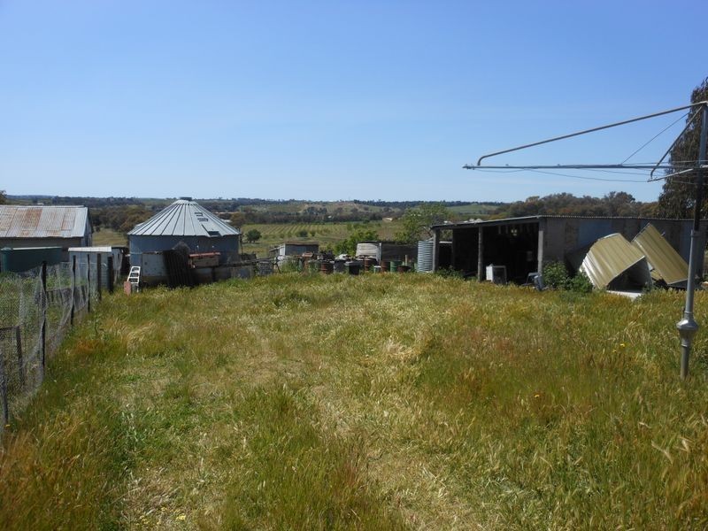 276 Henry Lawson Way, Young NSW 2594