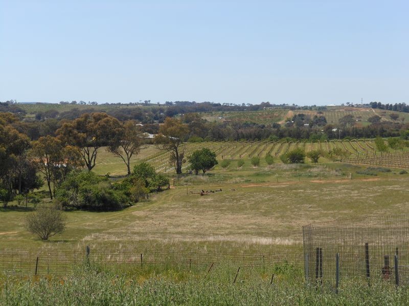 278 Henry Lawson Way, Young NSW 2594