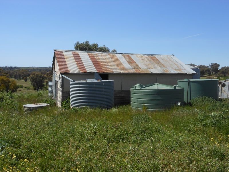 278 Henry Lawson Way, Young NSW 2594