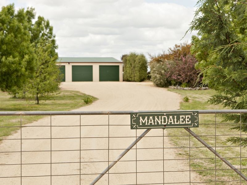 591 Spring Creek Road, Young NSW 2594