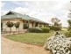 591 Spring Creek Road, Young NSW 2594