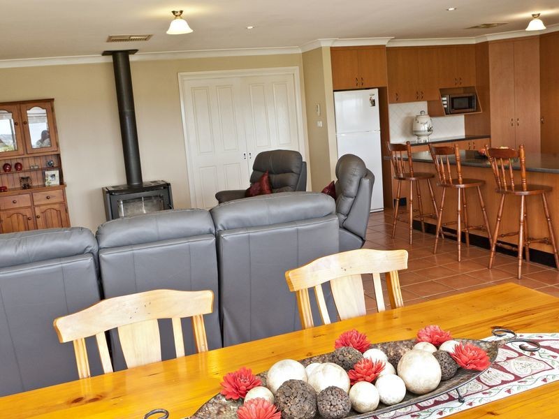 591 Spring Creek Road, Young NSW 2594