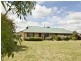 591 Spring Creek Road, Young NSW 2594